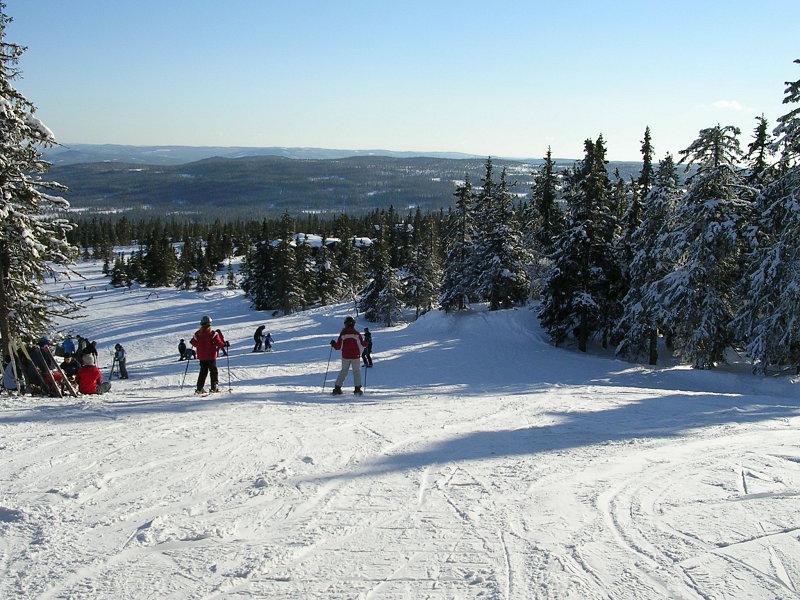  DSCN0808.JPG </br >          </br > <small> 2006-02-23 15:00</br >E3200 5.8mm 5/1674s f/5.6 ISO 50</small>