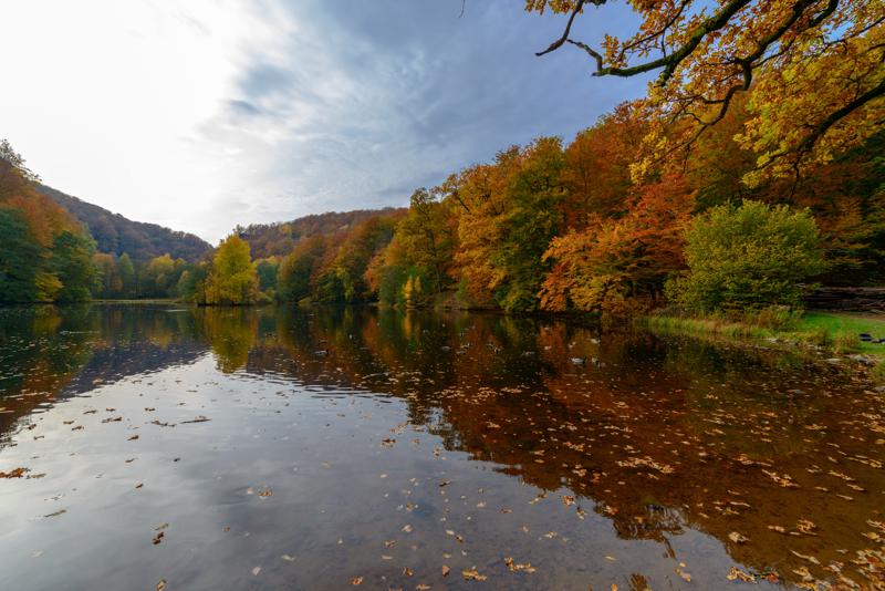  20121020_PB8_3125.JPG </br ><small> 2012-10-20 14:42</br >NIKON D800 + 14.0-24.0 mm f/2.8<br /> 14mm 1/250s f/5.6 ISO 100</small>