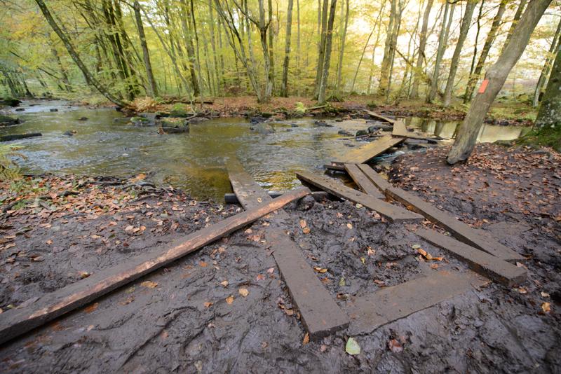  20121020_PB8_3161.JPG </br ><small> 2012-10-20 15:17</br >NIKON D800 + 14.0-24.0 mm f/2.8<br /> 14mm 1/30s f/4 ISO 250</small>