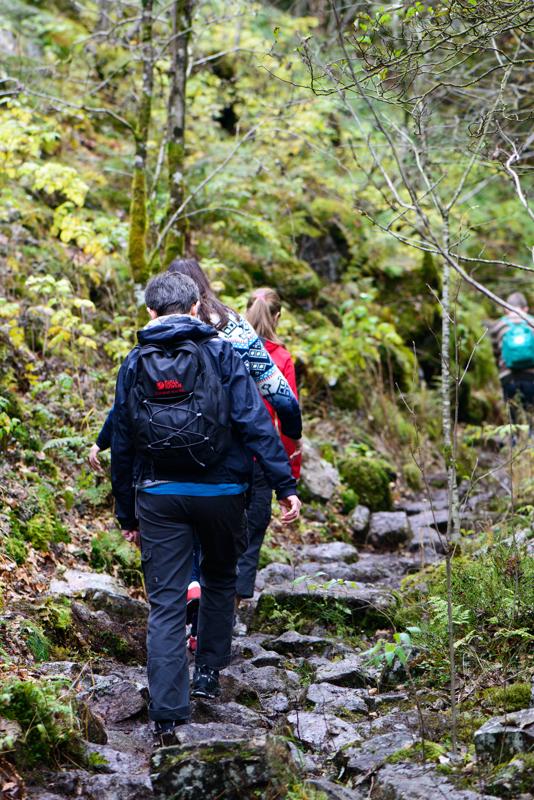  20121020_PB8_3173.JPG </br ><small> 2012-10-20 15:27</br >NIKON D800 + 105.0 mm f/2.8<br /> 105mm 1/250s f/4 ISO 1000</small>