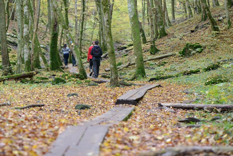  20121020_PB8_3184.JPG </br ><small> 2012-10-20 15:33</br >NIKON D800 + 105.0 mm f/2.8<br /> 105mm 1/250s f/4 ISO 4000</small>