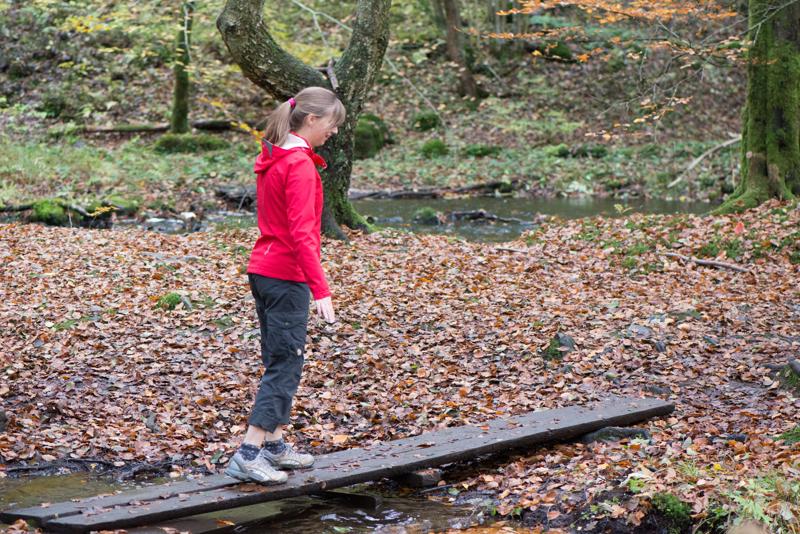  20121020_PB8_3194.JPG </br ><small> 2012-10-20 15:48</br >NIKON D800 + 105.0 mm f/2.8<br /> 105mm 1/250s f/4 ISO 2800</small>