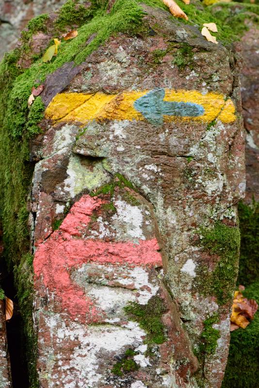  20121020_PB8_3223.JPG </br ><small> 2012-10-20 16:36</br >NIKON D800 + 105.0 mm f/2.8<br /> 105mm 1/250s f/5.6 ISO 5600</small>