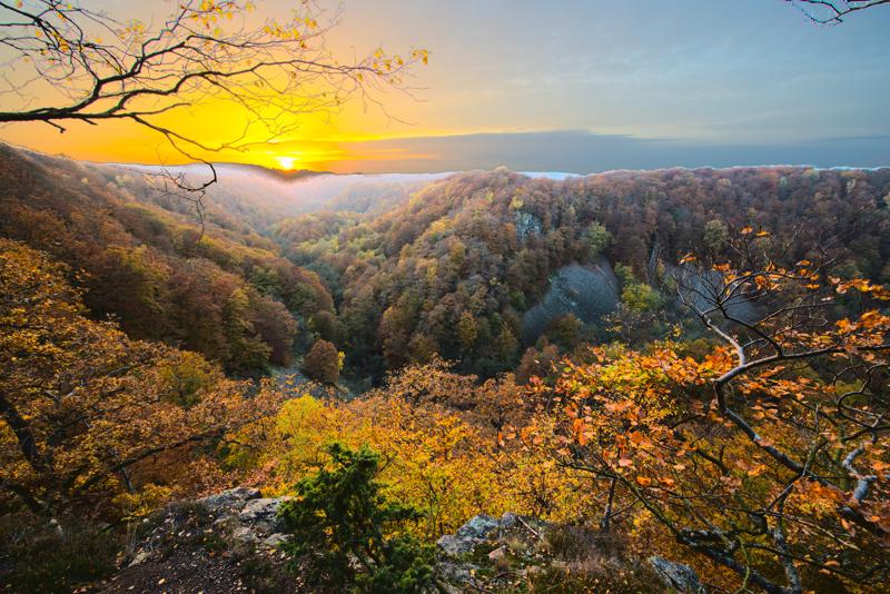  20121020_PB8_3262-Edit.JPG </br ><small> 2012-10-20 17:35</br >NIKON D800 + 14.0-24.0 mm f/2.8<br /> 14mm 1/30s f/5.6 ISO 800</small>