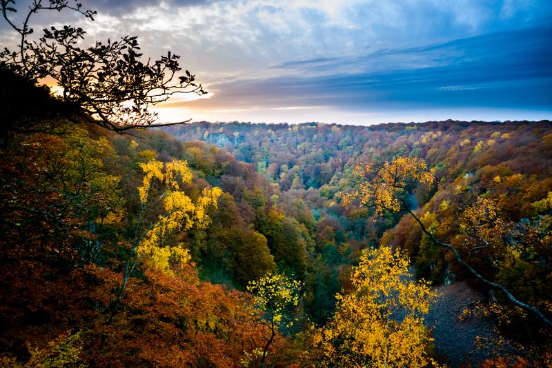  20121020_PB8_3277.JPG </br ><small> 2012-10-20 17:49</br >NIKON D800 + 14.0-24.0 mm f/2.8<br /> 24mm 1/100s f/2.8 ISO 800</small>