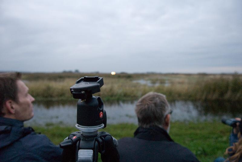  D2C_8220.jpg </br ><small> 2008-10-12 18:43</br >NIKON D200 17mm 1/80s f/2.8 ISO 1600</small>