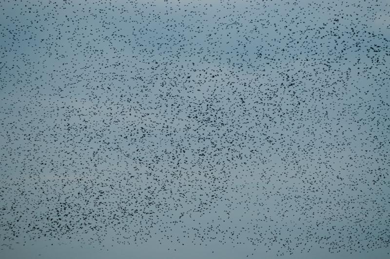  D3C_4850.jpg </br ><small> 2008-10-12 18:32</br >NIKON D300 200mm 1/60s f/4 ISO 280</small>