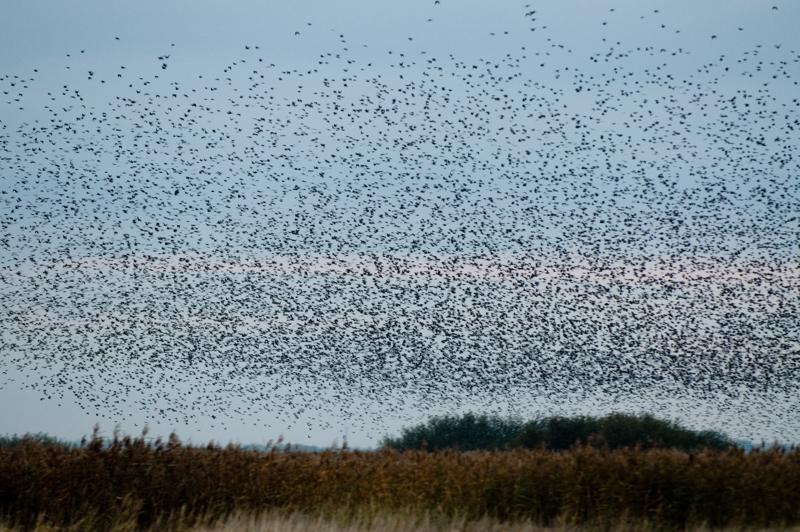  D3C_4857.jpg </br ><small> 2008-10-12 18:33</br >NIKON D300 200mm 1/60s f/4 ISO 900</small>