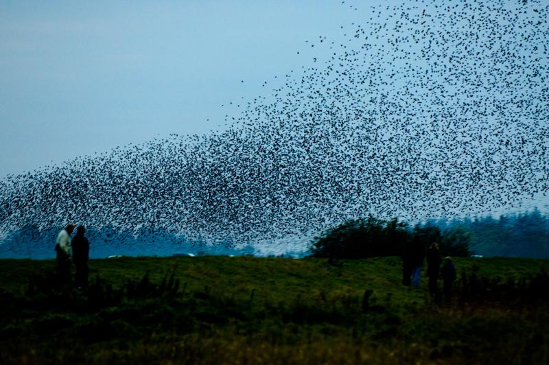  D3C_4880.jpg </br ><small> 2008-10-12 18:36</br >NIKON D300 200mm 1/60s f/4 ISO 1250</small>