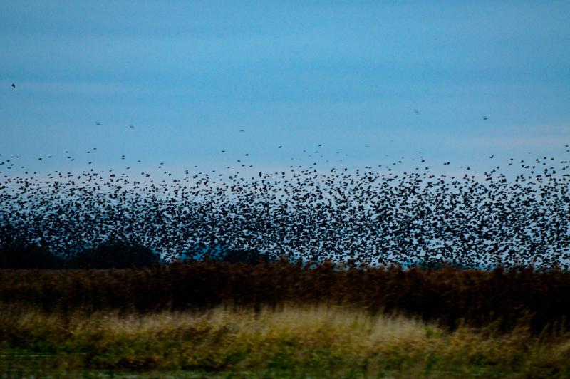  D3C_4883.jpg </br ><small> 2008-10-12 18:36</br >NIKON D300 200mm 1/60s f/4 ISO 1600</small>