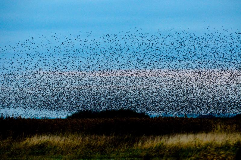  D3C_4885.jpg </br ><small> 2008-10-12 18:36</br >NIKON D300 155mm 1/60s f/4 ISO 1400</small>