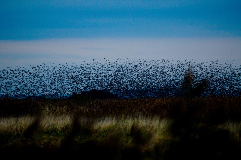  D3C_4895.jpg </br ><small> 2008-10-12 18:41</br >NIKON D300 180mm 1/60s f/2.8 ISO 1600</small>