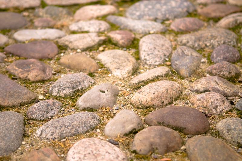  D3C_4938.jpg </br ><small> 2008-10-13 13:11</br >NIKON D300 55mm 1/400s f/2.8 ISO 200</small>