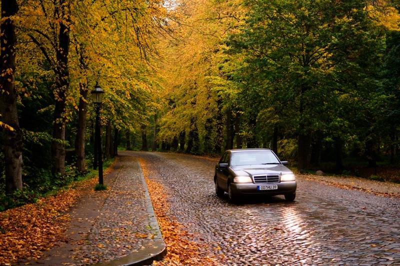  D3C_4952.jpg </br ><small> 2008-10-13 17:32</br >NIKON D300 40mm 1/125s f/2.8 ISO 400</small>