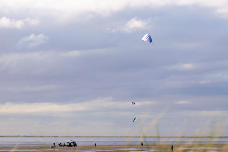  D3C_5020.jpg </br ><small> 2008-10-14 16:26</br >NIKON D300 116mm 1/500s f/8 ISO 200</small>