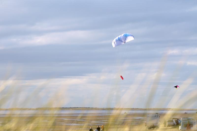  D3C_5022.jpg </br ><small> 2008-10-14 16:26</br >NIKON D300 150mm 1/400s f/8 ISO 200</small>