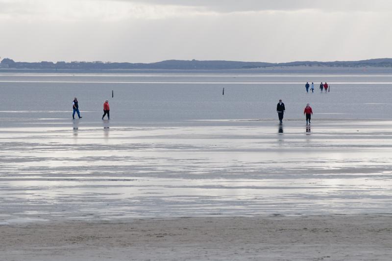  D3C_5040.jpg </br ><small> 2008-10-14 16:37</br >NIKON D300 200mm 1/320s f/8 ISO 200</small>