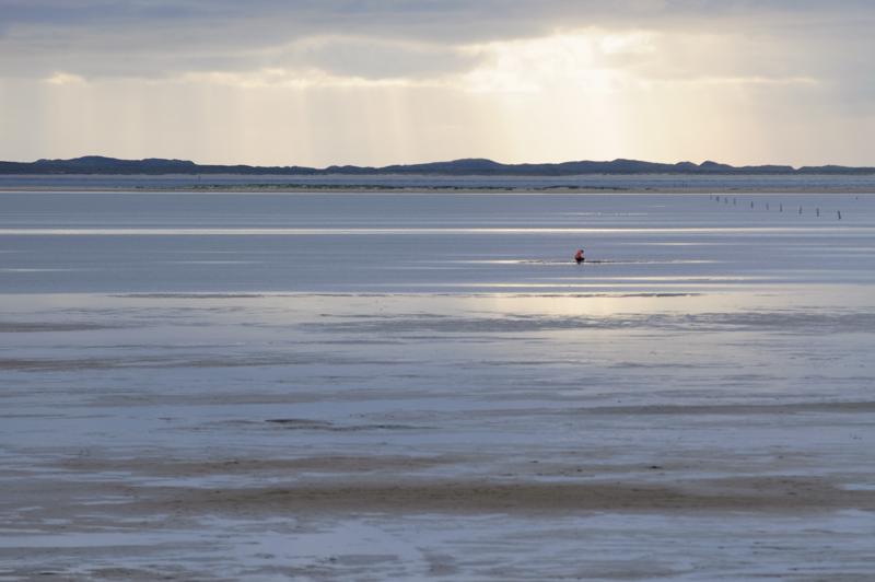  D3C_5059.jpg </br ><small> 2008-10-14 16:57</br >NIKON D300 200mm 1/400s f/5.6 ISO 200</small>