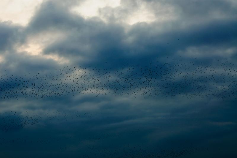  D3C_4846.jpg </br ><small> 2008-10-12 18:31</br >NIKON D300 70mm 1/80s f/4 ISO 200</small>