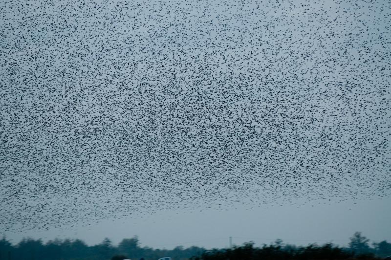  D3C_4858.jpg </br ><small> 2008-10-12 18:33</br >NIKON D300 200mm 1/60s f/4 ISO 400</small>