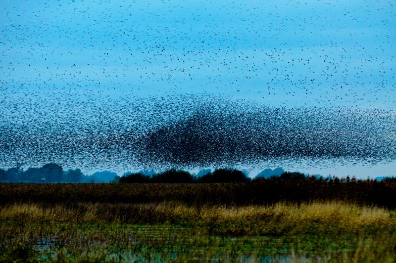  D3C_4867.jpg </br ><small> 2008-10-12 18:34</br >NIKON D300 150mm 1/60s f/4 ISO 1250</small>