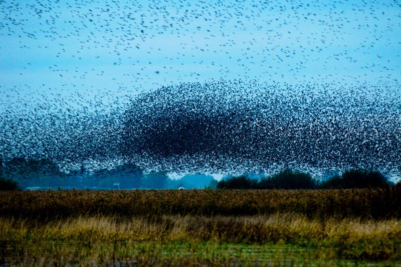  D3C_4869.jpg </br ><small> 2008-10-12 18:34</br >NIKON D300 200mm 1/60s f/4 ISO 1600</small>