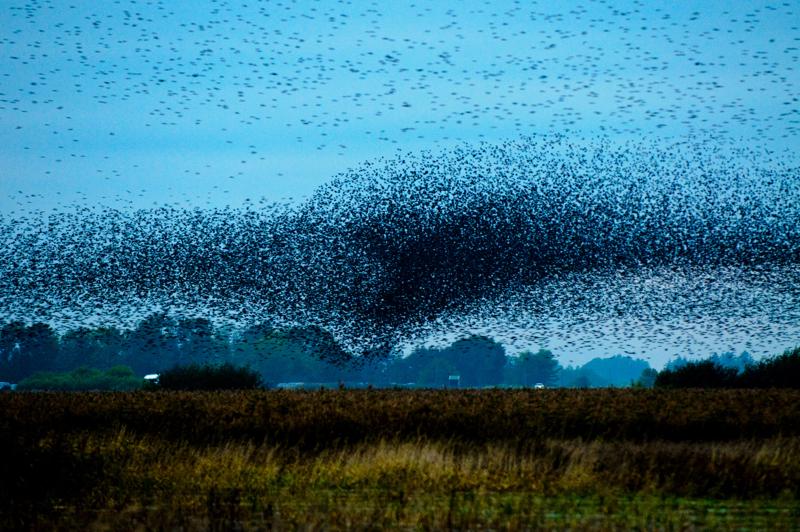  D3C_4870.jpg </br ><small> 2008-10-12 18:34</br >NIKON D300 200mm 1/60s f/4 ISO 1250</small>