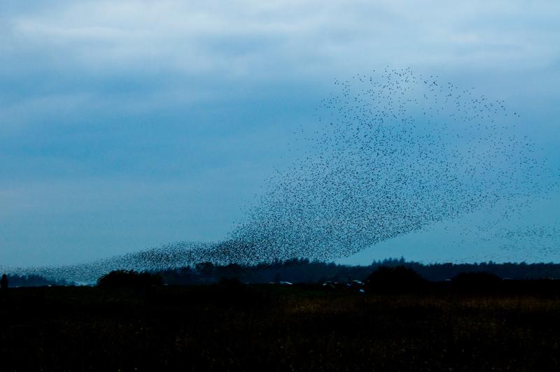  D3C_4881.jpg </br ><small> 2008-10-12 18:36</br >NIKON D300 80mm 1/60s f/4 ISO 720</small>