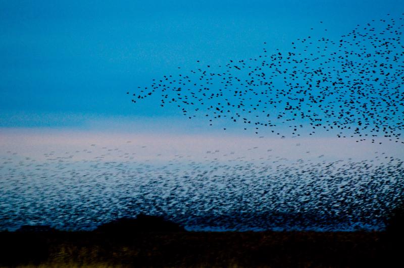  D3C_4884.jpg </br ><small> 2008-10-12 18:36</br >NIKON D300 190mm 1/60s f/4 ISO 1000</small>