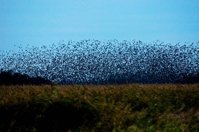  D3C_4894.jpg </br ><small> 2008-10-12 18:39</br >NIKON D300 200mm 1/40s f/4 ISO 1600</small>