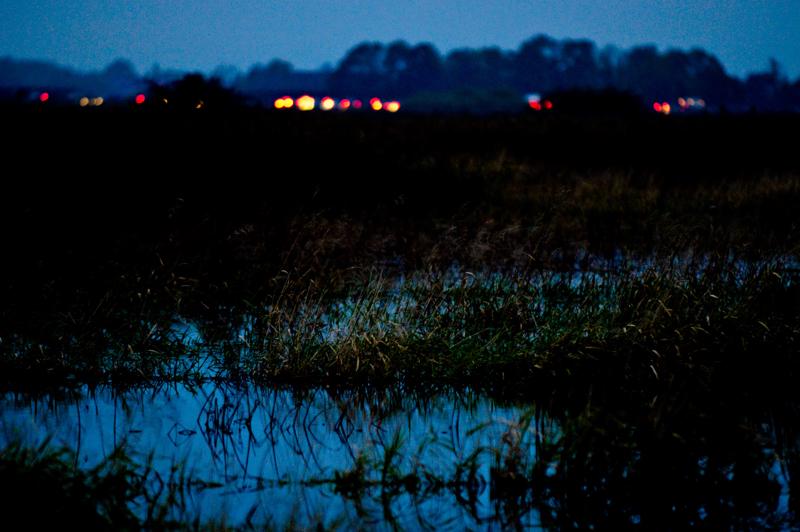  D3C_4897.jpg </br ><small> 2008-10-12 18:49</br >NIKON D300 200mm 1/20s f/2.8 ISO 1600</small>