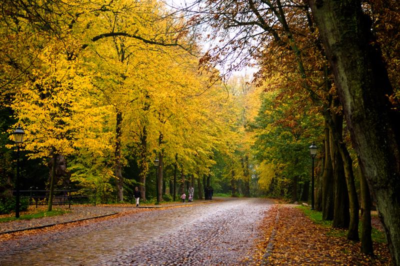  D3C_4946.jpg </br ><small> 2008-10-13 17:30</br >NIKON D300 55mm 1/80s f/2.8 ISO 400</small>