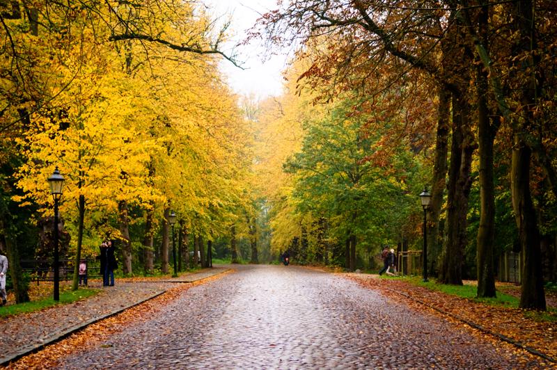  D3C_4950.jpg </br ><small> 2008-10-13 17:31</br >NIKON D300 55mm 1/80s f/2.8 ISO 400</small>