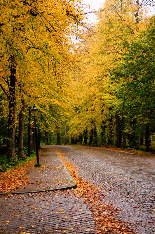  D3C_4951.jpg </br ><small> 2008-10-13 17:32</br >NIKON D300 55mm 1/80s f/2.8 ISO 400</small>