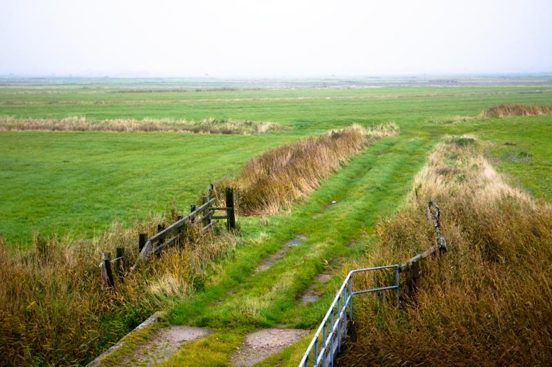  D3C_4964.jpg </br ><small> 2008-10-13 17:58</br >NIKON D300 55mm 1/50s f/2.8 ISO 400</small>