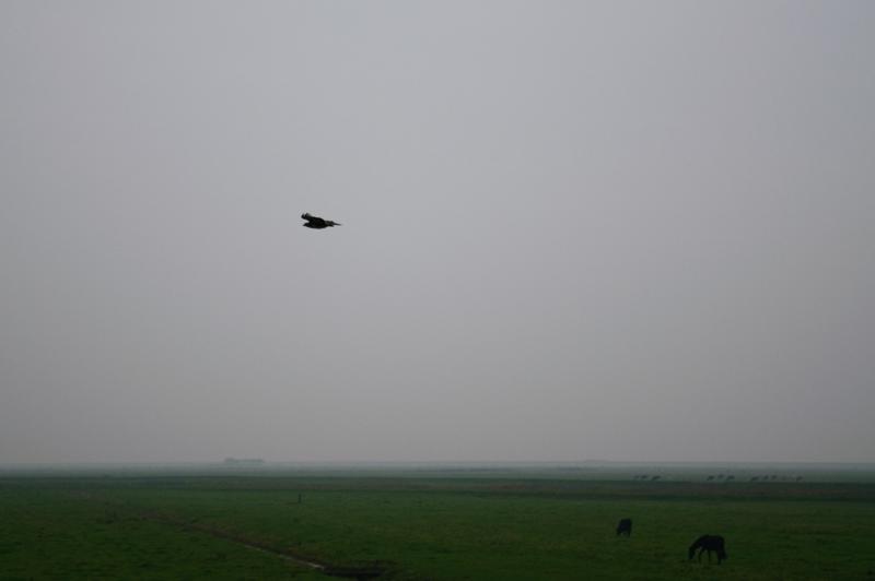  D3C_4967.jpg </br ><small> 2008-10-13 18:00</br >NIKON D300 55mm 1/250s f/2.8 ISO 400</small>