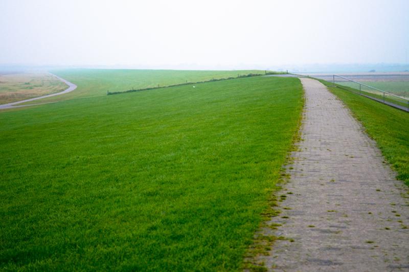  D3C_4981.jpg </br ><small> 2008-10-13 18:27</br >NIKON D300 55mm 1/30s f/2.8 ISO 800</small>