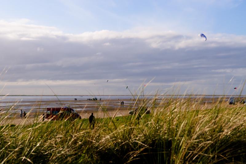  D3C_5019.jpg </br ><small> 2008-10-14 16:23</br >NIKON D300 55mm 1/500s f/8 ISO 200</small>