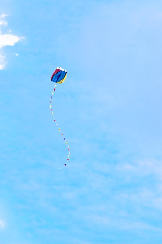  D3C_5039.jpg </br ><small> 2008-10-14 16:36</br >NIKON D300 200mm 1/400s f/8 ISO 200</small>