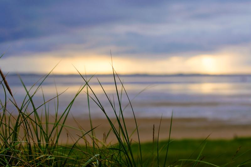  D3C_5056.jpg </br ><small> 2008-10-14 16:54</br >NIKON D300 70mm 1/320s f/5.6 ISO 200</small>