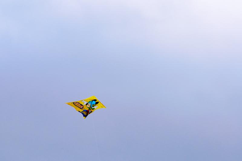  D3C_5057.jpg </br ><small> 2008-10-14 16:55</br >NIKON D300 200mm 1/250s f/5.6 ISO 200</small>