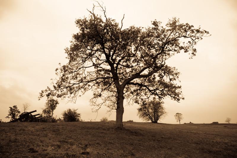  D3C_5126.jpg </br ><small> 2008-10-15 17:32</br >NIKON D300 17mm 1/60s f/5.6 ISO 200</small>