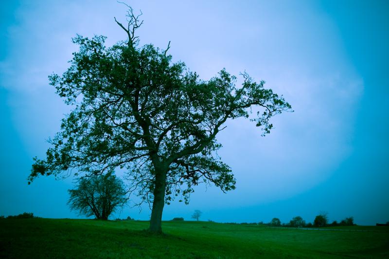  D3C_5131.jpg </br ><small> 2008-10-15 17:34</br >NIKON D300 24mm 1/60s f/5.6 ISO 200</small>