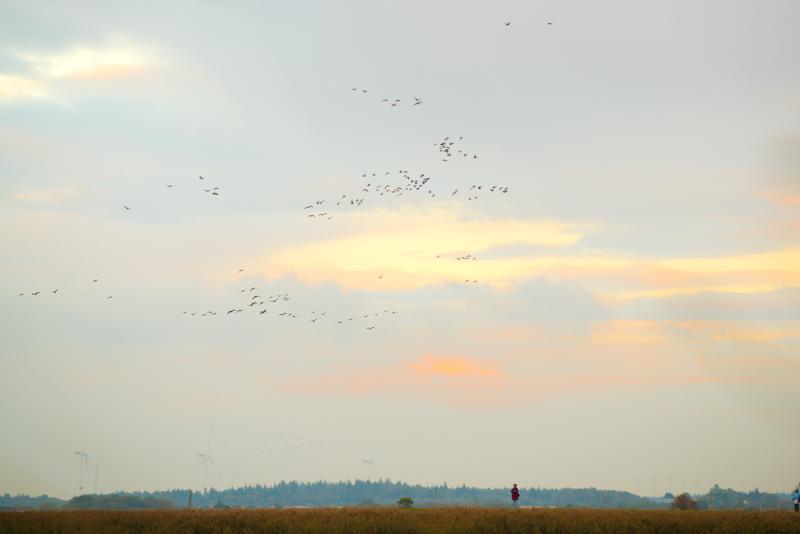  20121013_PB8_2544.JPG </br ><small> 2012-10-13 17:58</br >NIKON D800 + 70.0-200.0 mm f/2.8<br /> 155mm 1/400s f/4 ISO 200</small>