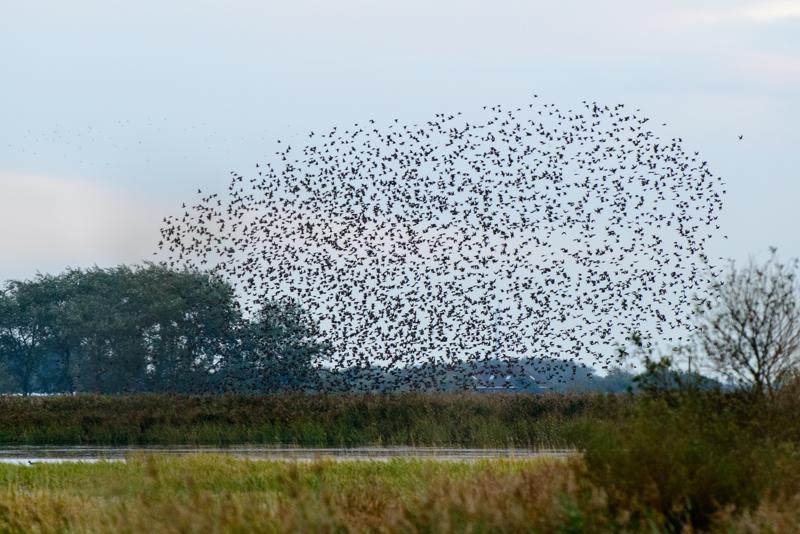  20121013_PB8_2556.JPG </br ><small> 2012-10-13 18:08</br >NIKON D800 + 70.0-200.0 mm f/2.8<br /> 200mm 1/400s f/5 ISO 1250</small>