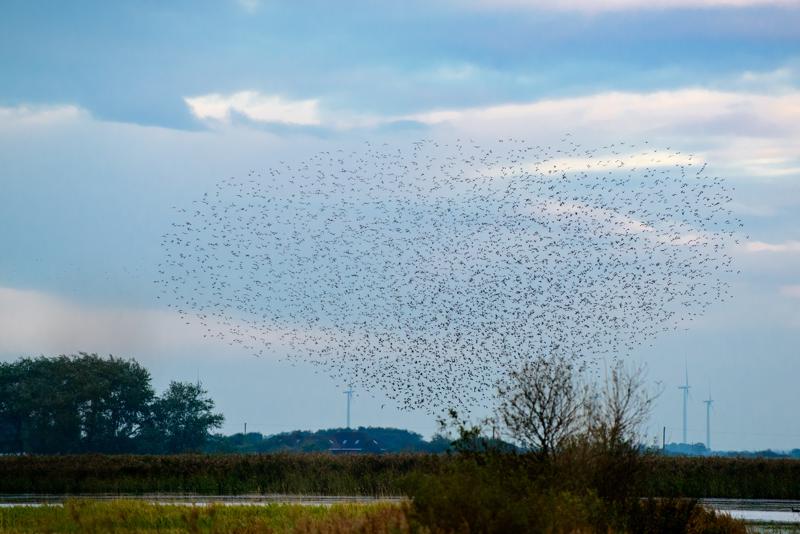  20121013_PB8_2558.JPG </br ><small> 2012-10-13 18:08</br >NIKON D800 + 70.0-200.0 mm f/2.8<br /> 200mm 1/400s f/5 ISO 900</small>