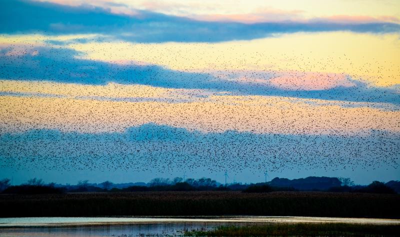  20121013_PB8_2567.JPG </br ><small> 2012-10-13 18:13</br >NIKON D800 + 70.0-200.0 mm f/2.8<br /> 200mm 1/400s f/5 ISO 640</small>