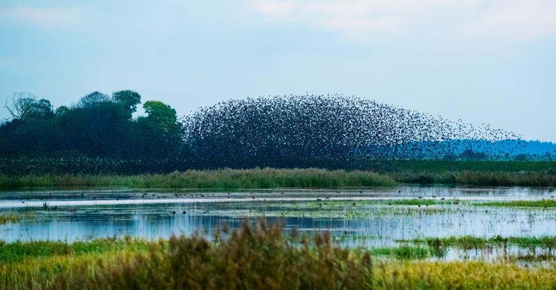  20121013_PB8_2612.JPG </br ><small> 2012-10-13 18:26</br >NIKON D800 + 70.0-200.0 mm f/2.8<br /> 200mm 1/400s f/5.6 ISO 4000</small>