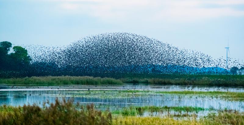  20121013_PB8_2613.JPG </br ><small> 2012-10-13 18:26</br >NIKON D800 + 70.0-200.0 mm f/2.8<br /> 200mm 1/400s f/5.6 ISO 4500</small>