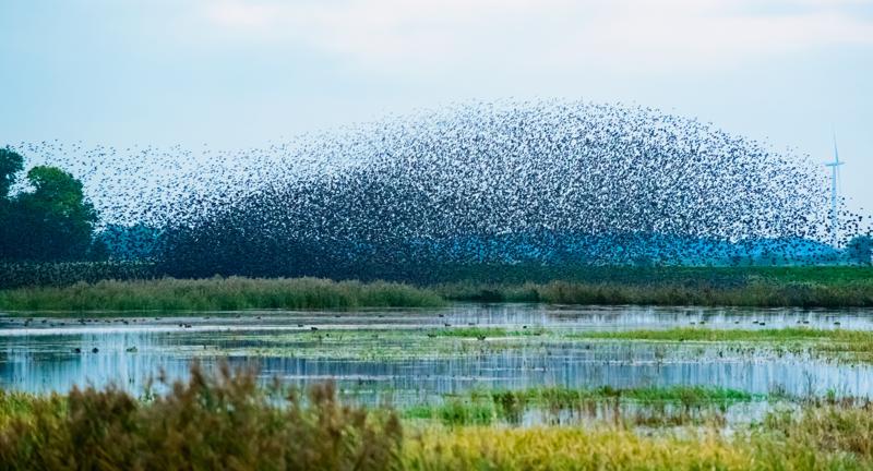  20121013_PB8_2614.JPG </br ><small> 2012-10-13 18:26</br >NIKON D800 + 70.0-200.0 mm f/2.8<br /> 200mm 1/400s f/5.6 ISO 5000</small>